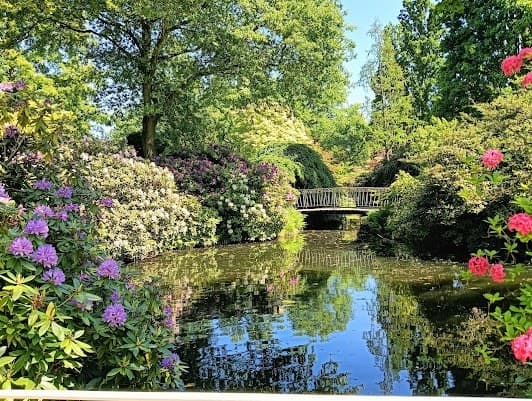 Arboretum trompenburg