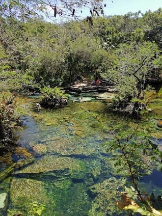 Cenote Azul photo 3