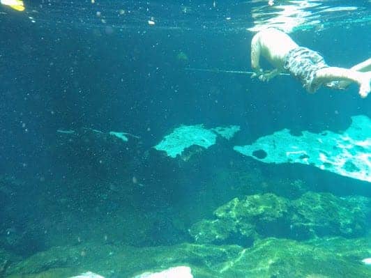Cenote Azul photo 5