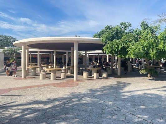 Parque de las Palapas photo 5