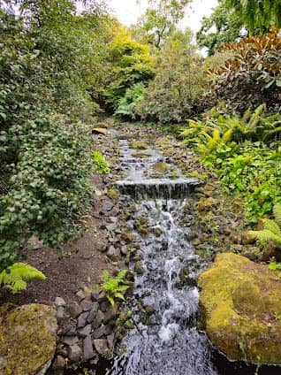 Royal Botanic Garden Edinburgh photo 5