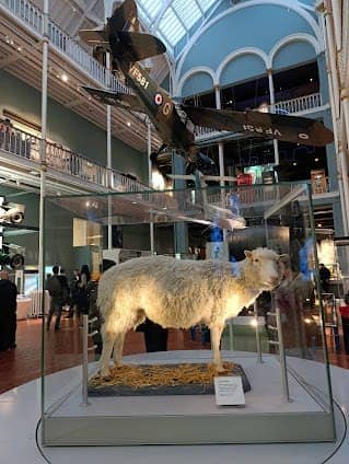 National Museum of Scotland photo 4