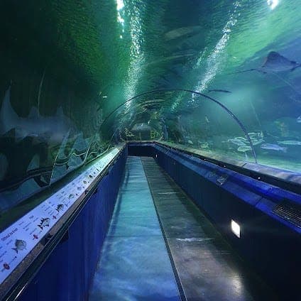 Deep Sea World