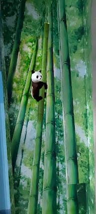 Trick Eye Museum Phuket photo 5