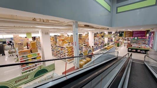 Jungceylon photo 5