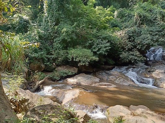 Doi Suthep-Pui National Park