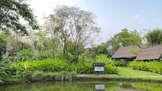 Elephant POOPOOPAPER Park Chiang Mai photo 6