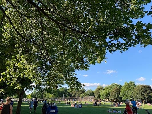 Trinity Bellwoods Park