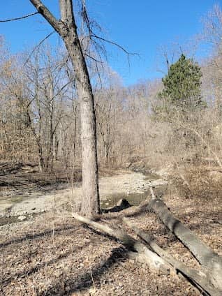 Gus Harris Trail photo 4