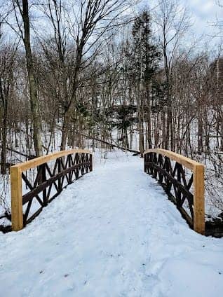 Gus Harris Trail photo 5