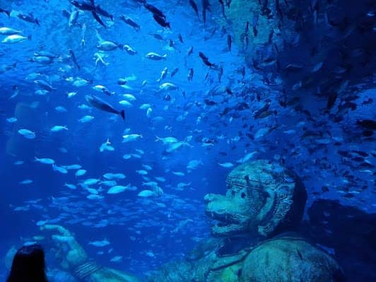 Aquaria Phuket photo 4