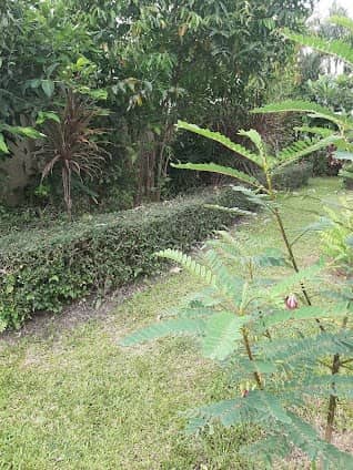 Buterfly park photo 2