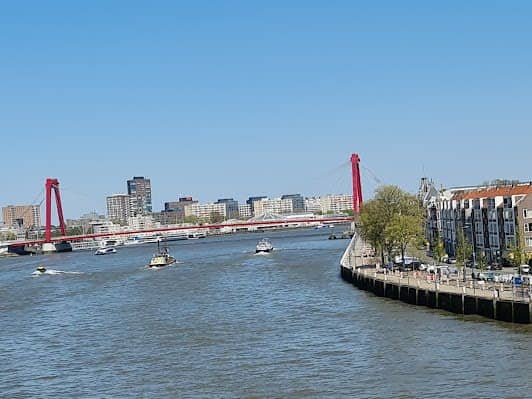 Erasmusbrug photo 5