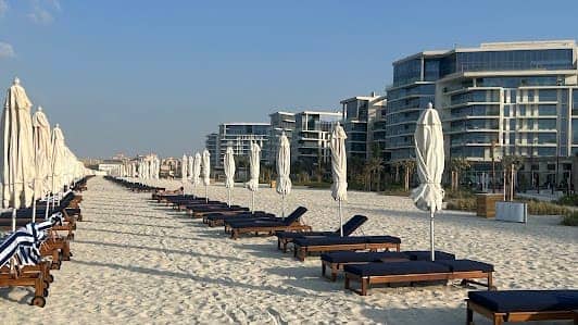 Saadiyat Beach photo 4