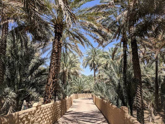 Al Ain Oasis