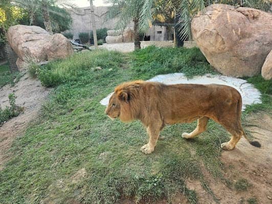 Al Ain Zoo photo 2