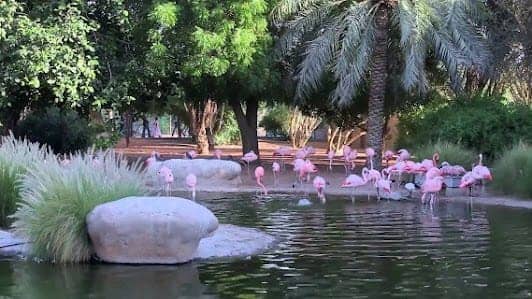 Al Ain Zoo photo 4