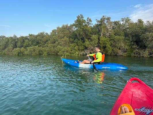 Mangrove Marine National Park photo 2