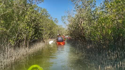 Mangrove Marine National Park photo 3