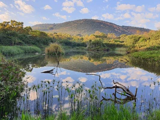 Walter Sisulu National Botanical Garden photo 4