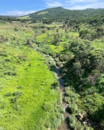 Klipriviersberg Nature Reserve photo 5