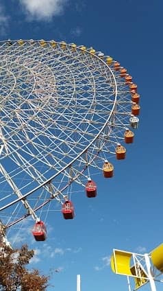 Tempozan Ferris Wheel photo 6