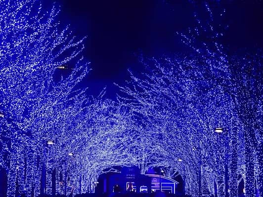 Yoyogi Park photo 7