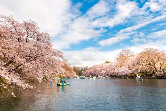 Inokashira Park