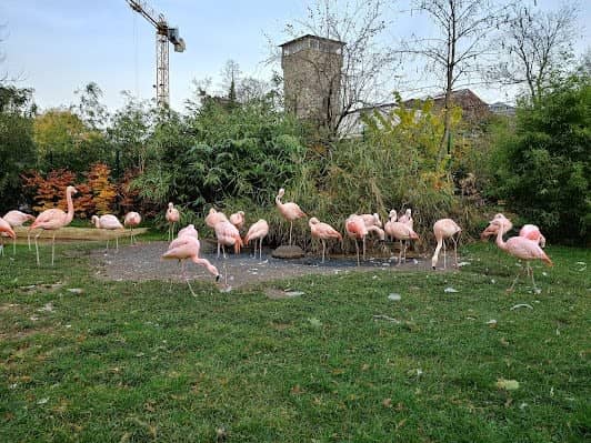 Zoo Frankfurt photo 2