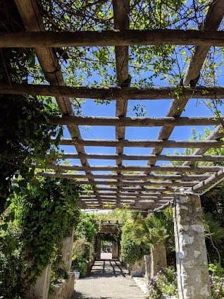 Monastère de Cimiez photo 4