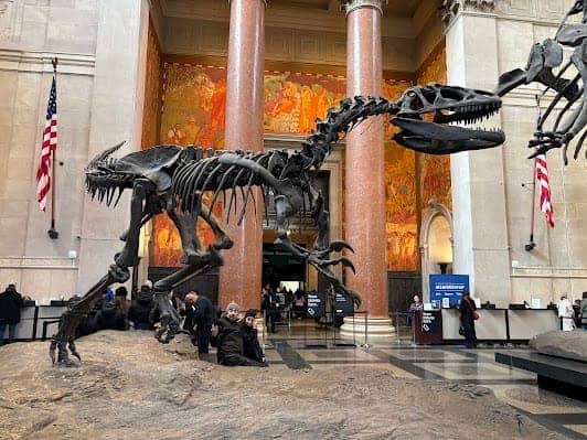 American Museum of Natural History photo 3