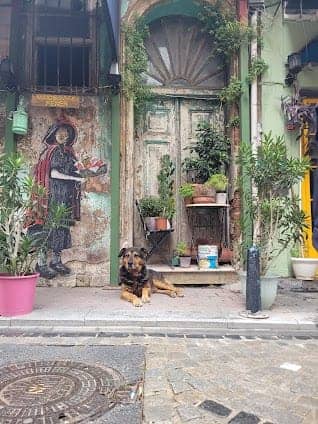 Fener photo 7