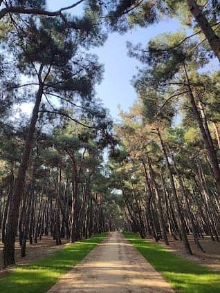 Florya Atatürk Forest photo 6