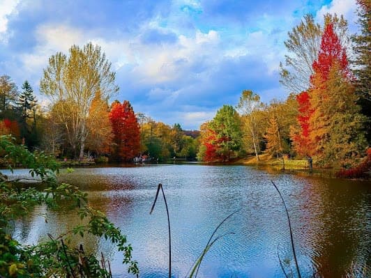Ataturk Arboretum