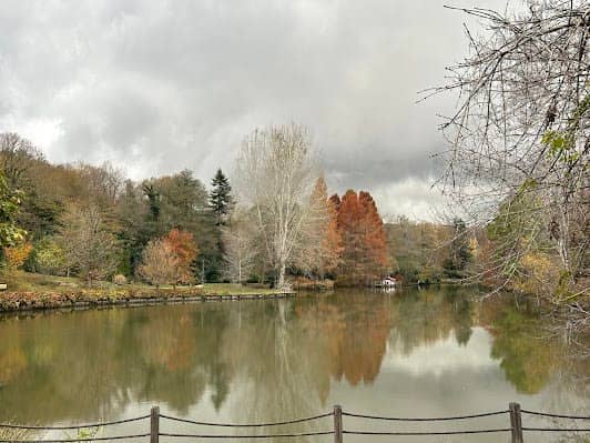 Ataturk Arboretum photo 2