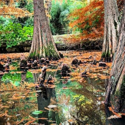Ataturk Arboretum photo 3