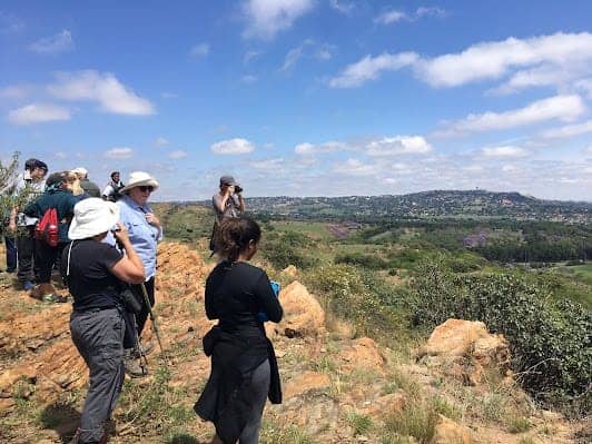 Melville Koppies Nature Reserve photo 3