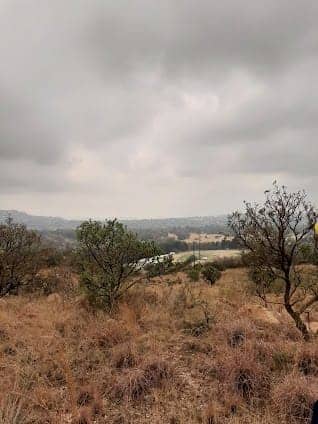 Melville Koppies Nature Reserve photo 4