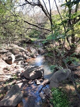 Melville Koppies Nature Reserve photo 5