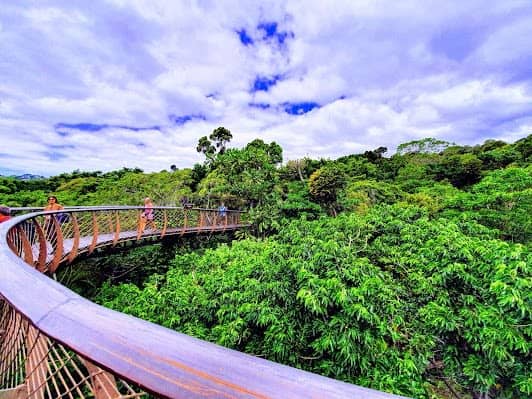 Kirstenbosch National Botanical Garden photo 4