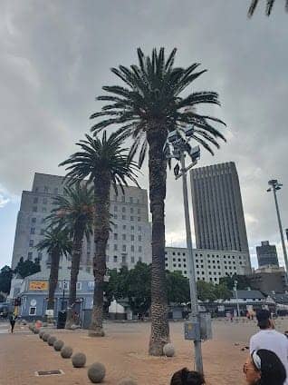 Cape Town City Hall photo 5