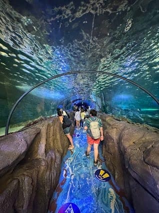 SEA LIFE Sydney Aquarium