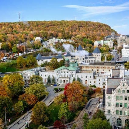 McGill University