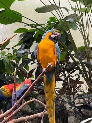Montreal Biodome photo 3