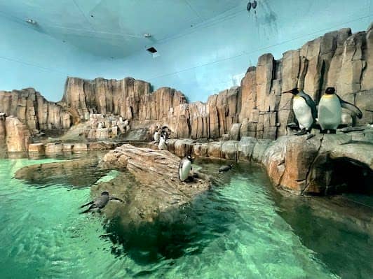 Montreal Biodome photo 5