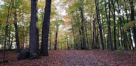 Parc-nature du Cap-Saint-Jacques photo 4