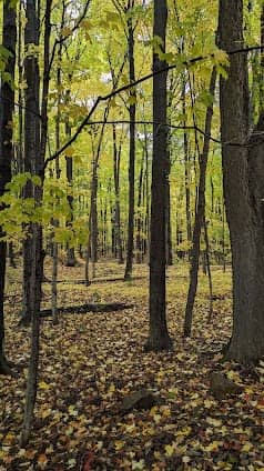 Parc-nature du Cap-Saint-Jacques photo 5