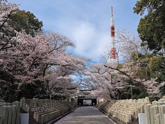 Hijiyama Park photo 2