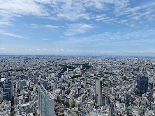 Shibuya Crossing photo 5