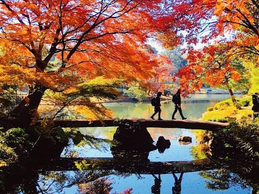 Rikugien Gardens photo 2